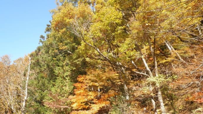山々の紅葉