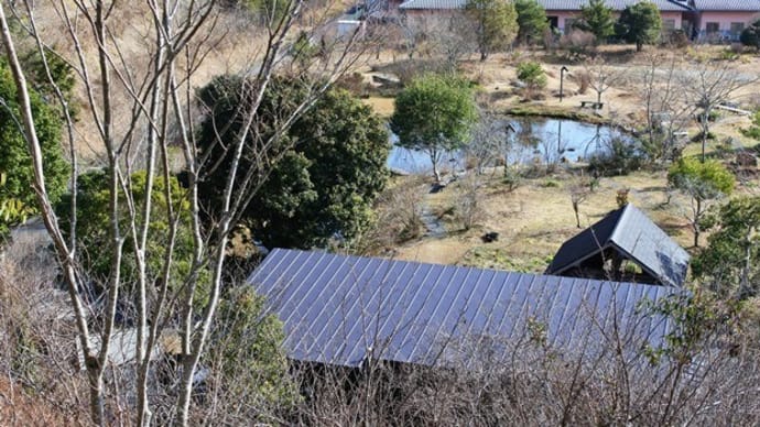 三原村・星ケ丘公園の冬景色
