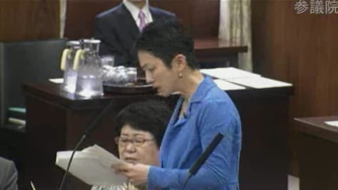 蓮舫さんが神本美恵子副代表に教えを乞い、民主党が一つになって独立行政法人通則法、参委可決　