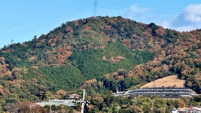 🚶➡️…モモテラス:百均:🥮…六地蔵〜> 241205