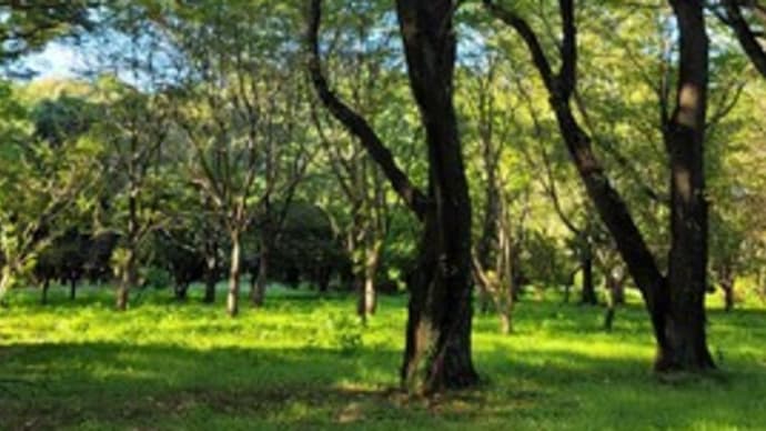 電子決済と現金決済