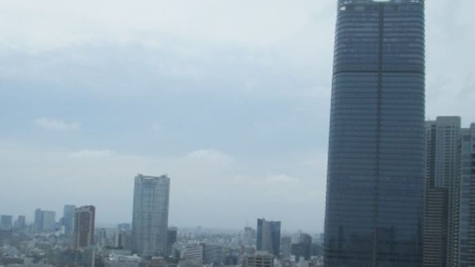 さよなら、東京!また、来ます!日々進化を続ける東京の街・・・パワーとエネルギーに溢れていました
