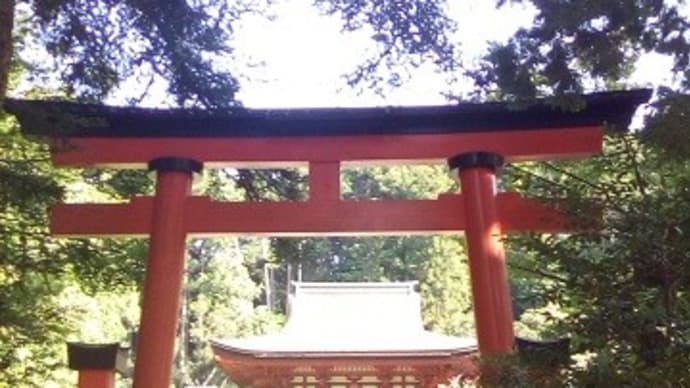今日は、盛り沢山の奈良の神社ツアーでした。
