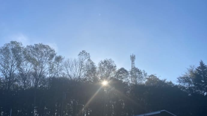 10月なのにお日様元気すぎ☀️