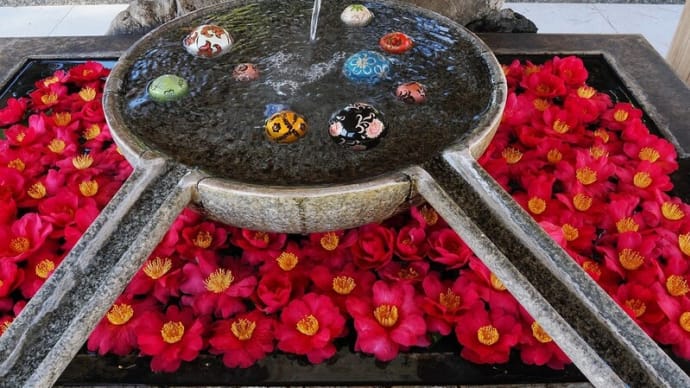 玉村八幡宮の花手水