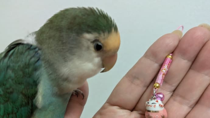 ベイスターズ⭐️素晴しい💙