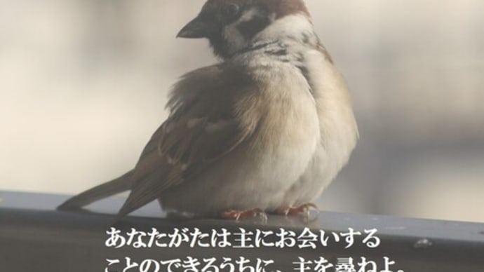 3博士たち