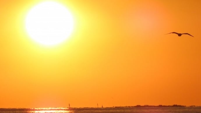 夕日その弐