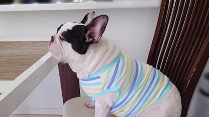 今日も食べる事で頭がいっぱい