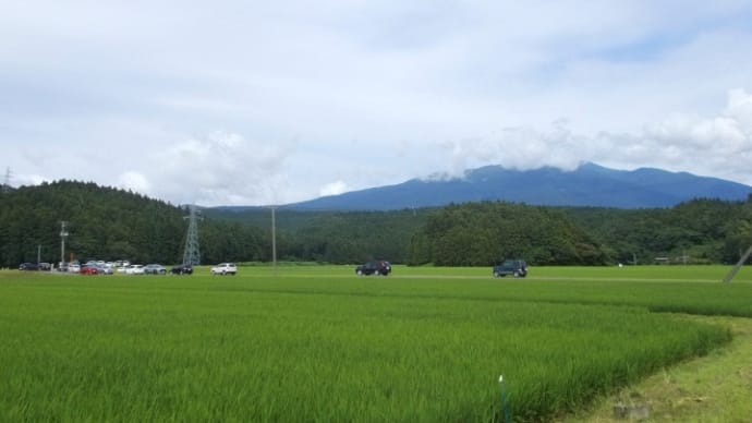 混み混み丸池様