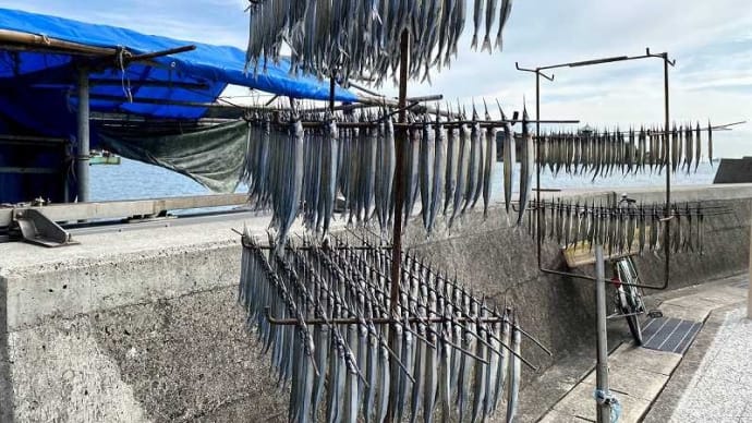 鞆の浦・仙酔島散策へ出発! (前編)