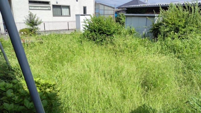 真夏の草刈り