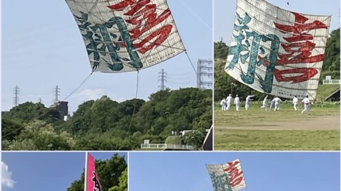 相模の大凧まつり