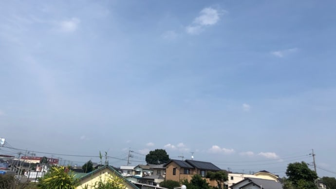 ズコッ！ヽ(・､ ．)