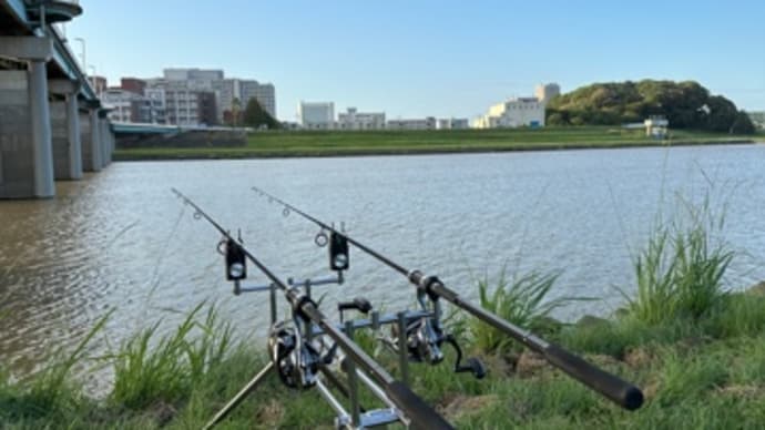 10月20日の鯉釣り