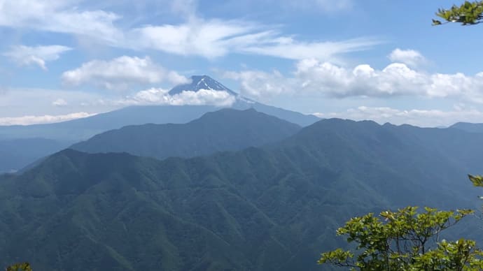 もうすぐ3度目の^ ^