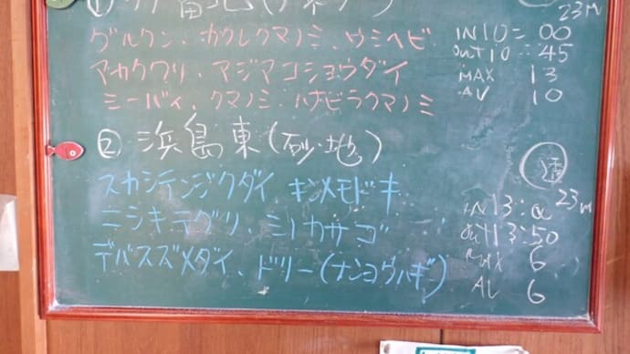 20250610ダイビングログ