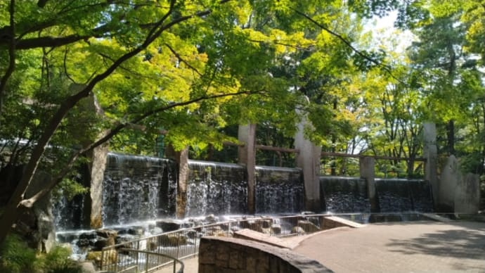 おどれ高円寺セシオン2024〜蚕糸の森公園