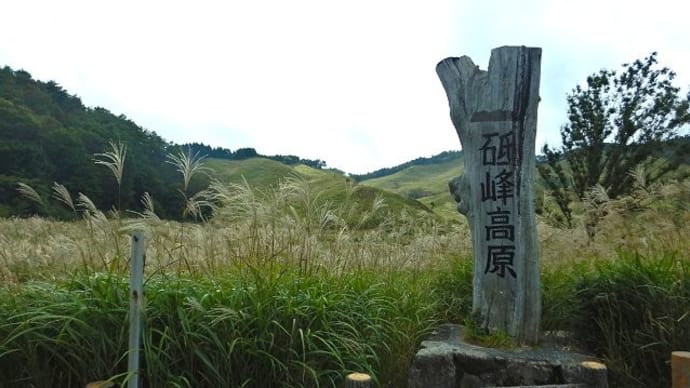 砥峰高原　ススキ風景