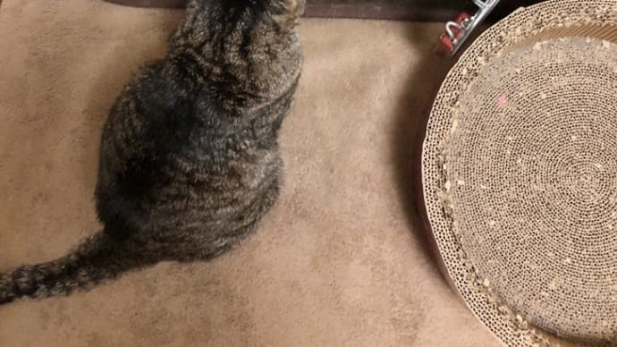 眩しいほどの食欲