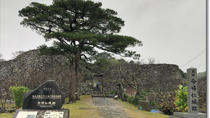 「絶景ホテルで過ごす沖縄リゾートステイ」というツアーで沖縄へ行ってきました~5,今帰仁城跡&備瀬のフクギ並木