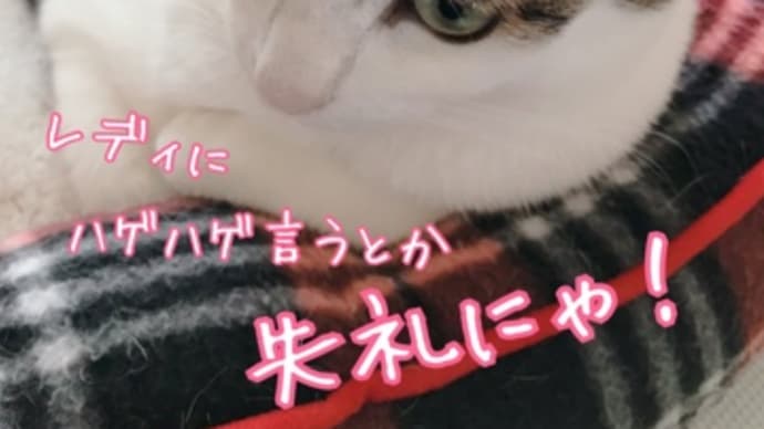 舐めたらあかん~♪