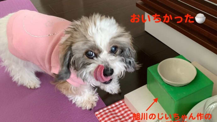 事故から5年半。