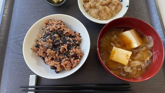 高脂血症薬の副作用による【横紋筋融解症】を疑って緊急で断食した旅