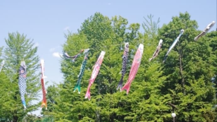 こどもの日