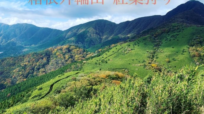 箱根外輪山縦走　紅葉狩り