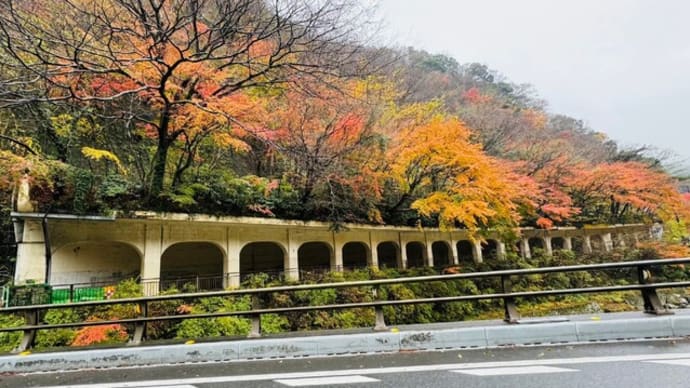 個人的箱根を象徴するスポットの一つ「函嶺洞門」