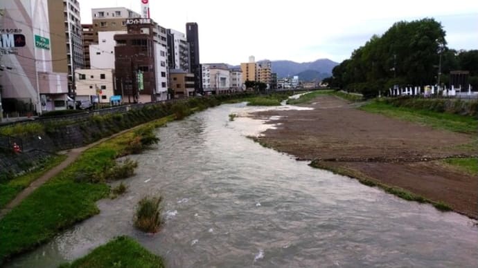 今朝の盛岡(中津川、北上川、サギ、三つ葉、南大橋)
