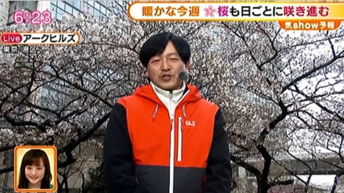 スペイン坂の桜1週間