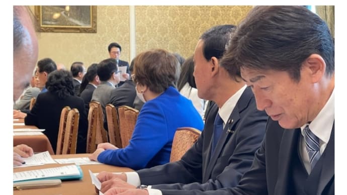 猪口邦子参議院議員が国会審議に復帰
(2024/12/17)