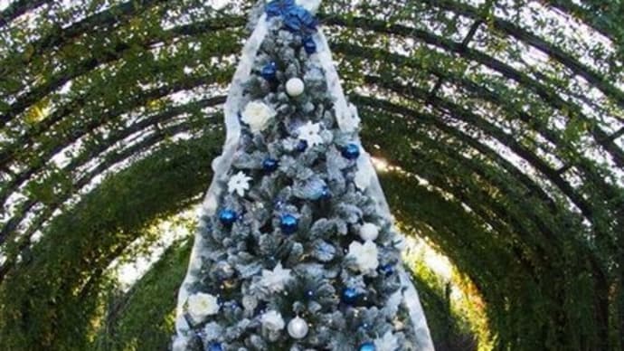 横浜イングリッシュガーデンのクリスマス２０１９