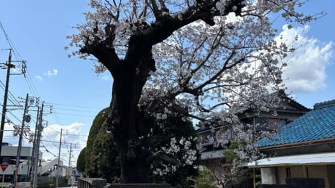 2025年3月30日の状況