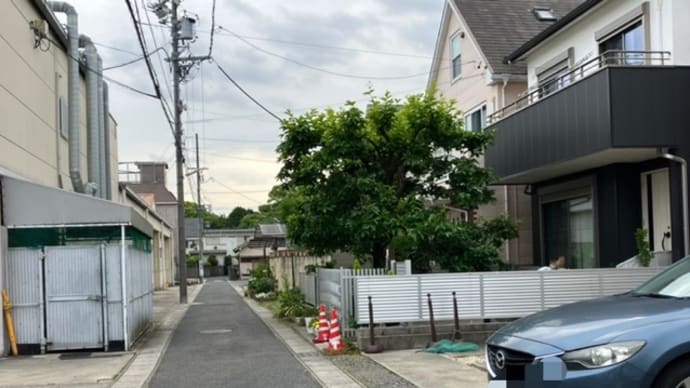 この画像のどこかに猫がいます 66