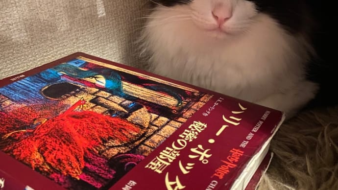 歩行許可