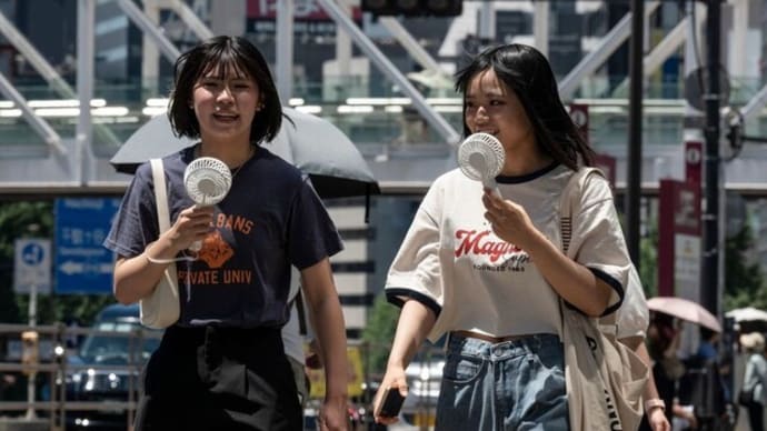 2023年夏、北半球は過去2000年で最も熱かった 樹木の年輪から気温分析=独研究