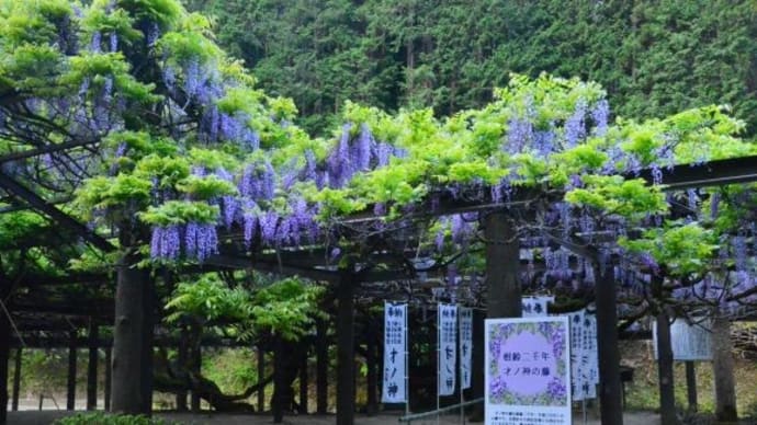 才ノ藤