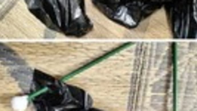 ポリマルチの設置工程