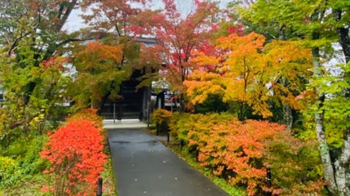 紅葉 11月15日