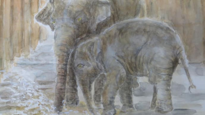 楽描き水彩画・東山動物園の仲間たち「ゾウのさくらちゃんとお母さん」