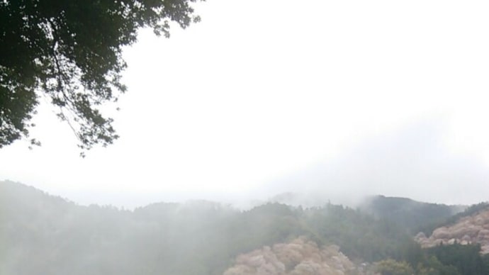 今年の吉野山は雨でした     〈吉水神社〉