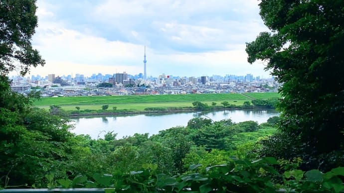 雨の予報だったのに🗼