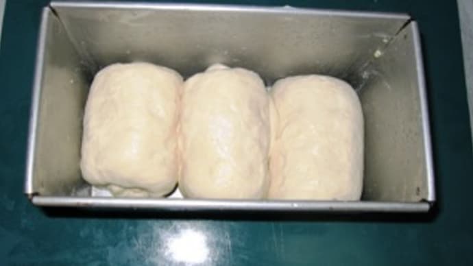角型食パン二次発酵開始！