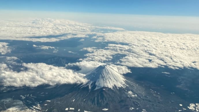 東京旅行2日目〜ディナー