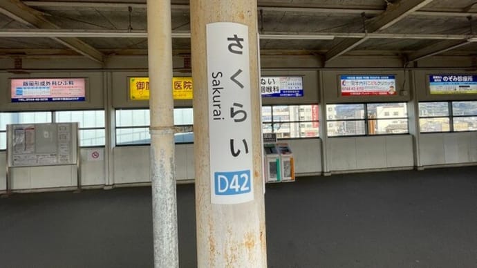 奈良探訪(大神神社、箸墓古墳、纏向遺跡、艸墓古墳、本薬師寺)