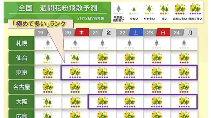 スギ花粉飛散(悲惨)「極めて多い」が続く