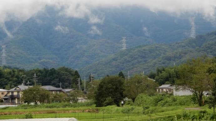 雨の合間に・・・カメラ散歩